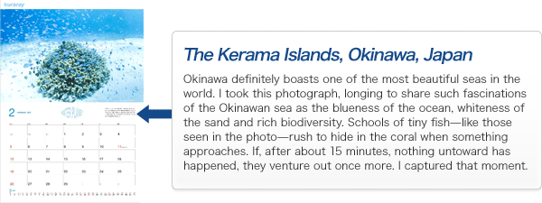 Okinawa definitely boasts one of the most beautiful seas in the world. I took this photograph, longing to share such fascinations of the Okinawan sea as the blueness of the ocean, whiteness of the sand and rich biodiversity. Schools of tiny fish--like those seen in the photo--rush to hide in the coral when something approaches. If, after about 15 minutes, nothing untoward has happened, they venture out once more. I captured that moment.