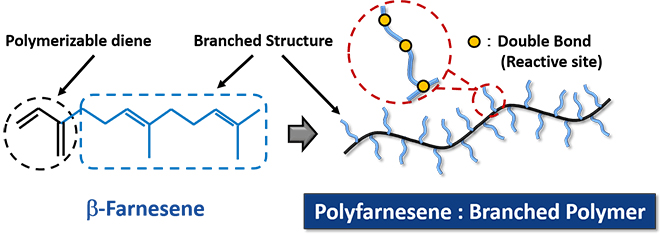 Polyfarnesene:Branched Polymer